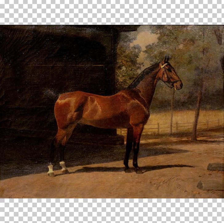 Thoroughbred Mare Oil Painting PNG, Clipart, Art, Artist, Bridle, Canvas, Colt Free PNG Download