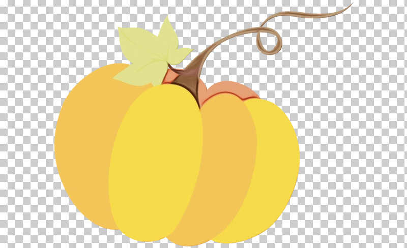 Pumpkin PNG, Clipart, Cartoon, Paint, Pumpkin, Squash, Thanksgiving Free PNG Download