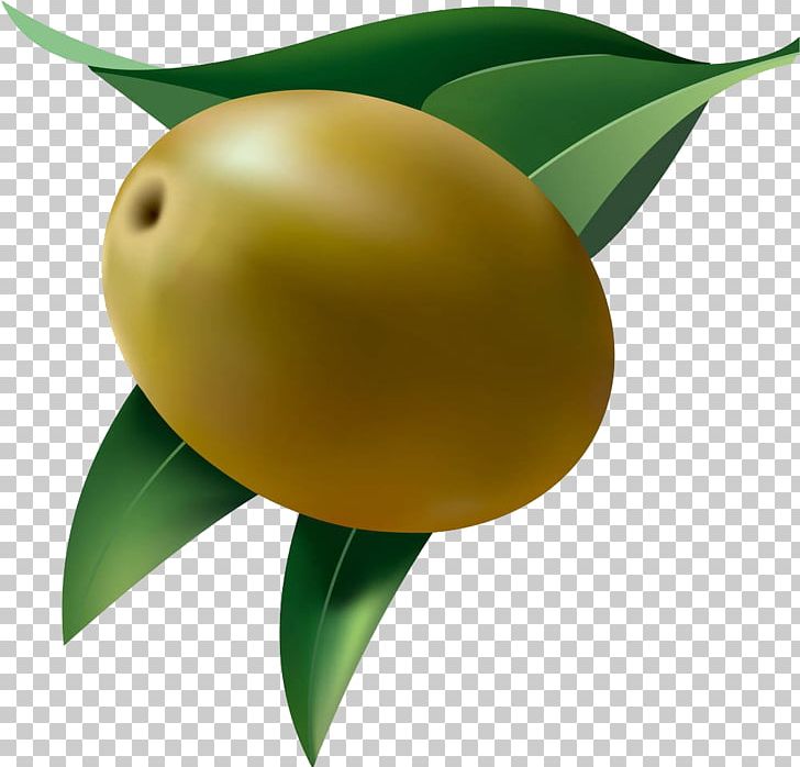 Fruit Olive PNG, Clipart, Black Olive, Computer Wallpaper, Diagram, Euclidean Vector, Food Free PNG Download