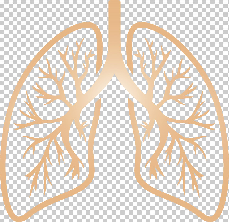 Leaf Symmetry PNG, Clipart, Corona Virus Disease, Covid, Leaf, Lungs, Paint Free PNG Download