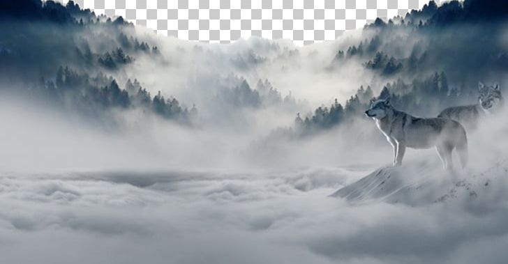 Arctic Wolf Nature Cloud Sky PNG, Clipart, Animals, Atmosphere, Atmosphere Of Earth, Black Wolf, Computer Wallpaper Free PNG Download