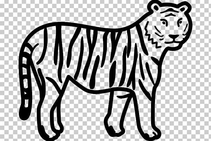 Bengal Tiger Black And White White Tiger Black Tiger PNG, Clipart, Area, Artwork, Bengal Tiger, Big Cats, Black Free PNG Download