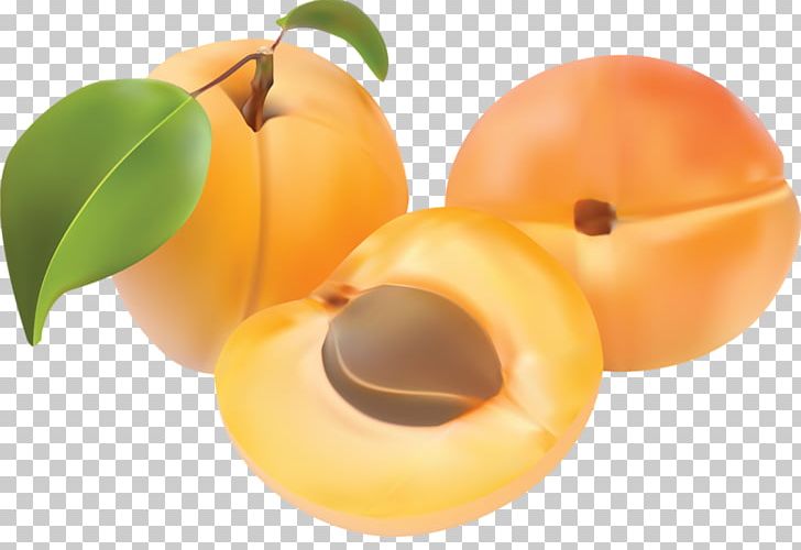 Peach Apricot PNG, Clipart, Apple Fruit, Apricot, Apricot Vector, Diet Food, Drawing Free PNG Download