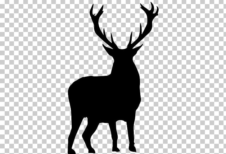 Red Deer Elk PNG, Clipart, Animal, Animals, Antler, Autocad Dxf, Black And White Free PNG Download