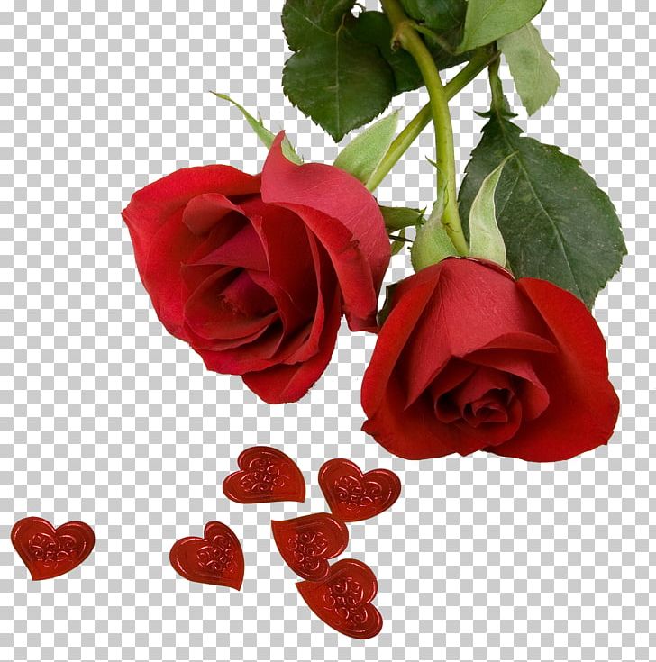 Best Roses Screensaver PNG, Clipart, 1080p, Artificial Flower, Best Roses, Computer, Cut Free PNG Download