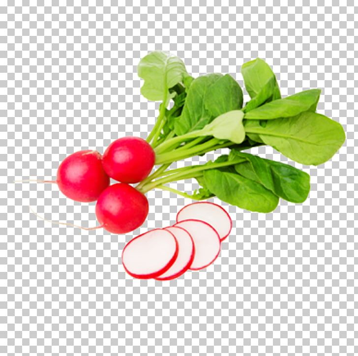 Daikon Garden Radish Food Vegetable Raphanus PNG, Clipart, Beet, Beetroot, Black Spanish Radish, Bonduelle, Cucumber Free PNG Download