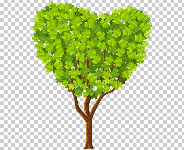 Heart Tree PNG, Clipart, Arecaceae, Branch, Encapsulated Postscript, Flowerpot, Free Content Free PNG Download