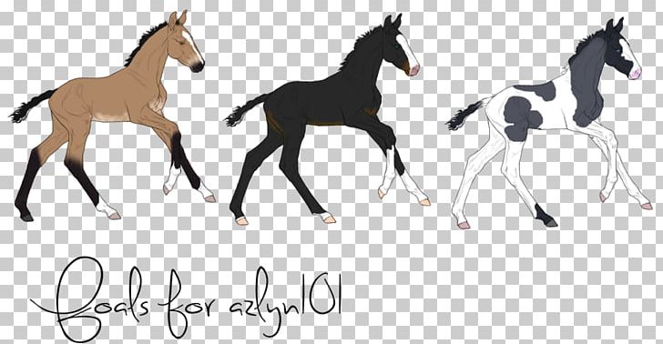 Mustang Foal Stallion Colt Bridle PNG, Clipart, Anima, Bridle, Colt, English Riding, Equestrian Free PNG Download