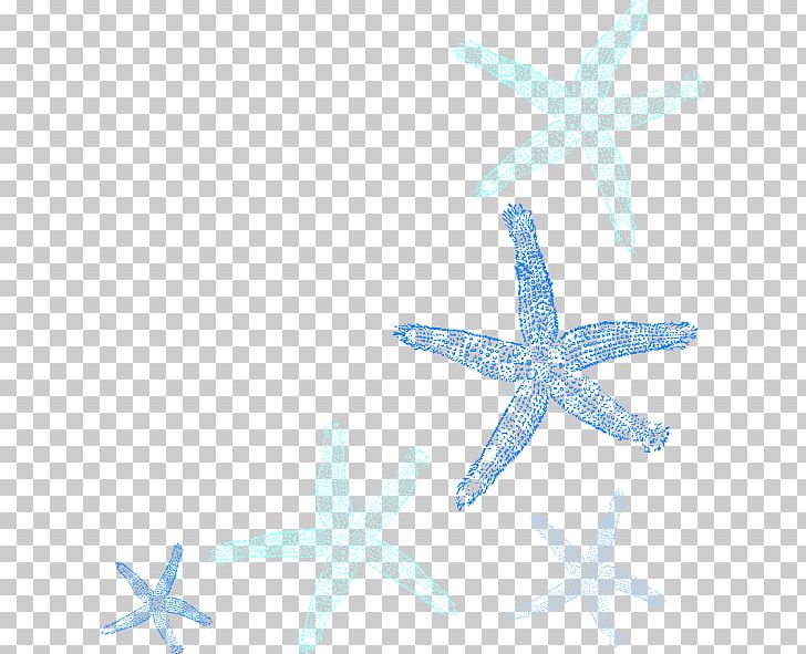 Starfish Computer Icons PNG, Clipart, Animals, Blue, Computer Icons, Desktop Wallpaper, Echinoderm Free PNG Download