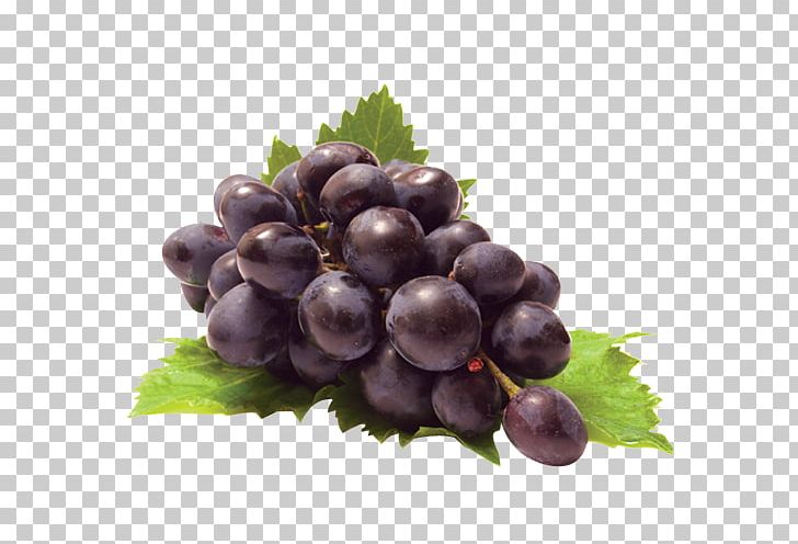 Aroma Grape Vegetable Marjoram Fruit PNG, Clipart, Blueberry, Essential Oil, Food, Fruit, Fruit Nut Free PNG Download