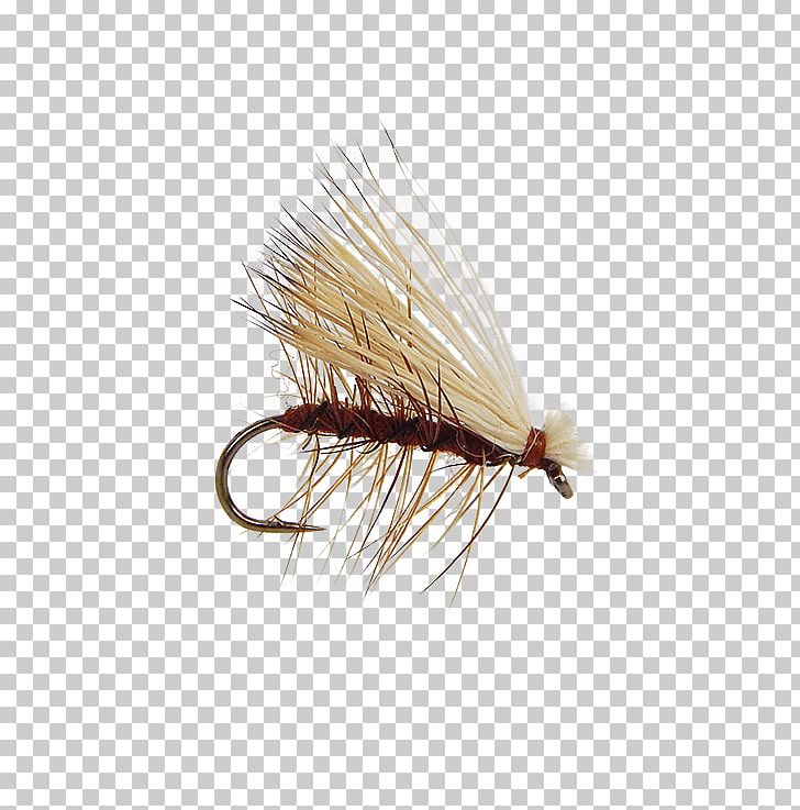 Artificial Fly Fly Fishing Holly Flies Insect PNG, Clipart, Artificial Fly, Brown, Elk, Fly Fishing, Fly Tying Free PNG Download