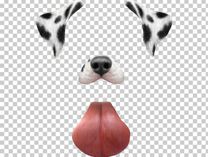 Dalmatian Dog Snapchat Dancing Hot Dog PNG, Clipart, Carnivoran, Collection, Computer, Dalmatian, Dalmatian Dog Free PNG Download