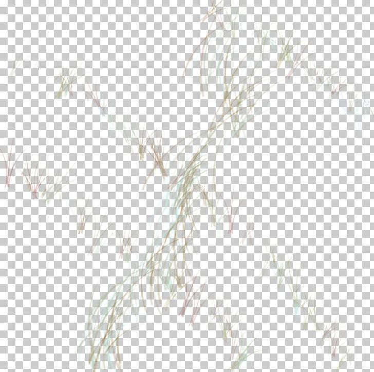 Drawing /m/02csf Line White Sky Plc PNG, Clipart, Art, Black And White, Branch, Drawing, Grass Free PNG Download