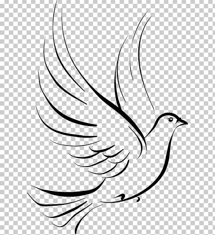 Stencil Tattoo Drawing PNG, Clipart, Beak, Bird, Black, Blackandgray, Black And White Free PNG Download