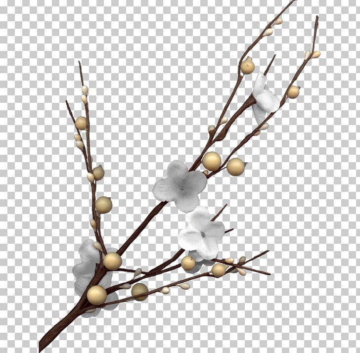 Plum Blossom PNG, Clipart, Adobe Illustrator, Black White, Branch, Branches, Button Free PNG Download