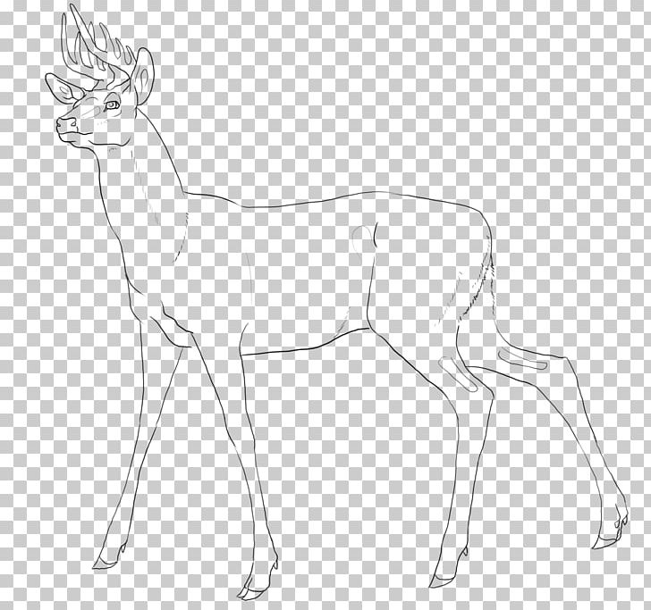 Reindeer Antelope Line Art White Pack Animal PNG, Clipart, Antelope, Antler, Artwork, Black And White, Cartoon Free PNG Download