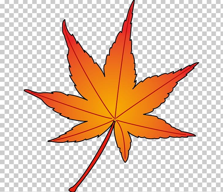 Maple Leaf Symmetry PNG, Clipart, Autumn Leaf Color, Flowering Plant, Leaf, Line, Maple Leaf Free PNG Download