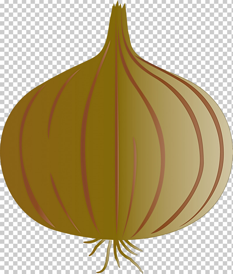 Onion PNG, Clipart, Biology, Christmas Day, Christmas Ornament, Christmas Ornament M, Commodity Free PNG Download