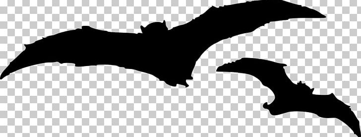 Bat PNG, Clipart, Animals, Bat, Bat Clipart, Beak, Black And White Free PNG Download