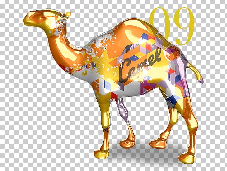 Dromedary Camel Lights Cigarette Japan Tobacco International PNG, Clipart, Arabian Camel, Camel, Camel Lights, Camel Like Mammal, Celebrity Free PNG Download