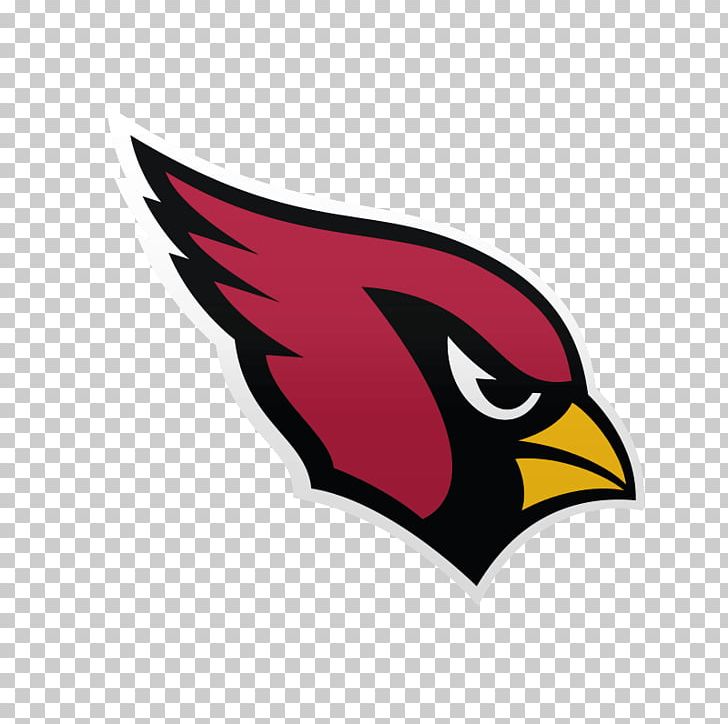 University Of Phoenix Stadium NFL Regular Season Washington Redskins 2008 Arizona Cardinals Season PNG, Clipart, 2008 Arizona Cardinals Season, Beak, Bird, Bird Of Prey, Fantasy Football Free PNG Download