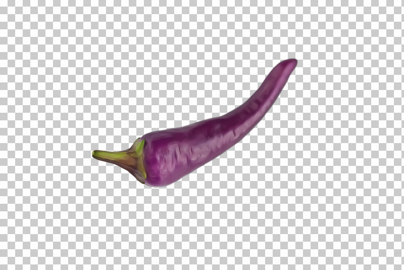 Pasilla Peppers Purple PNG, Clipart, Pasilla, Peppers, Purple Free PNG Download