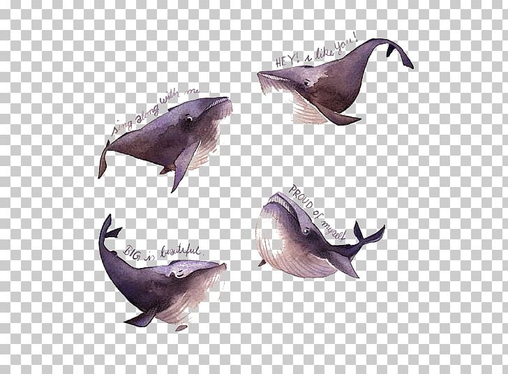 Watercolor Painting Illustrator Iraville Pencil Illustration PNG, Clipart, Animals, Cartoon, Illustrator, Marine Mammal, Ocean Free PNG Download
