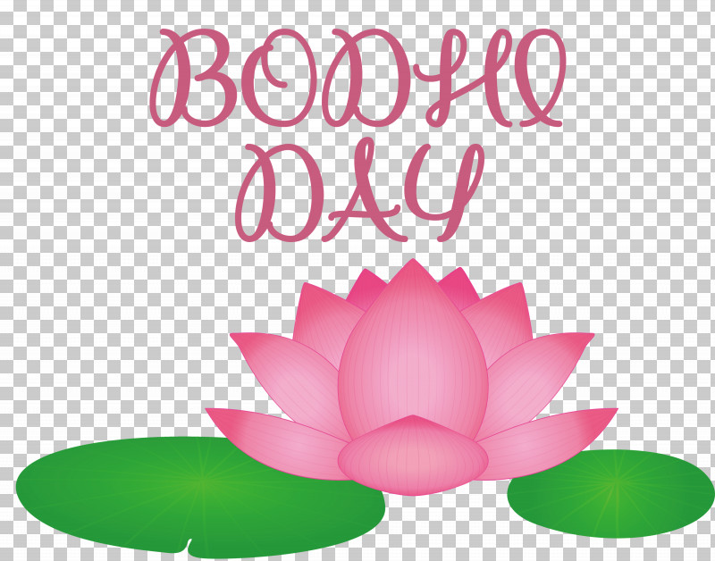 Bodhi Day PNG, Clipart, Biology, Bodhi Day, Flower, Meter, Petal Free PNG Download