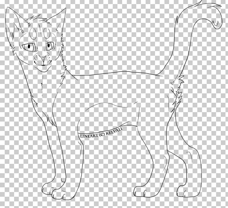 Cat Line Art Drawing PNG, Clipart, Animals, Art, Art Museum, Artwork, Black And White Free PNG Download