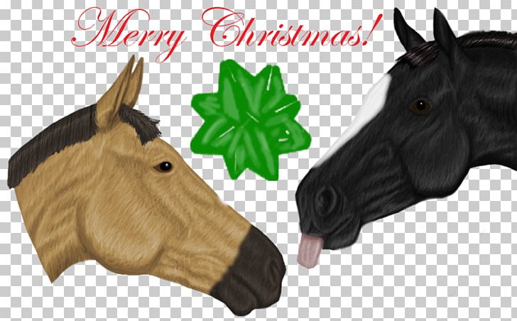 Christmas Outerwear Snout Fur Sadio Mané PNG, Clipart, Christmas, Christmas Animals, Fur, Holidays, Horse Free PNG Download