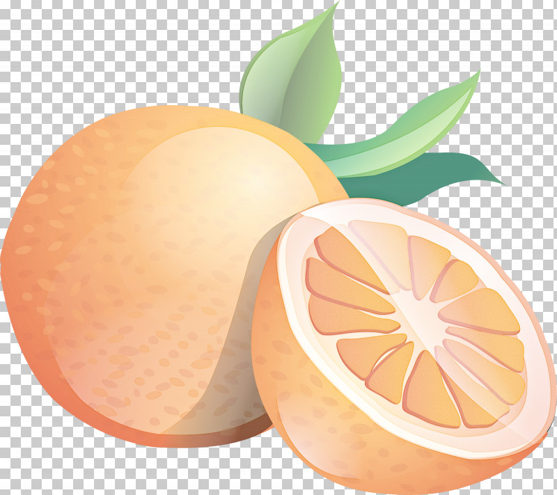 Orange PNG, Clipart, Citrus, Citrus Reticulata, Clementine, Fruit, Lemon Free PNG Download