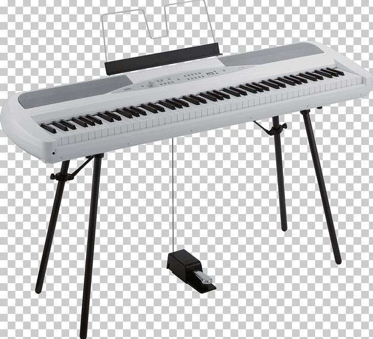 Digital Piano Keyboard Musical Instruments Korg PNG, Clipart, Action, Digital Piano, Electronics, Input Device, Musical Instrument Free PNG Download