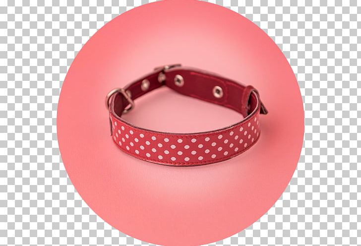 Dog Collar Clothing Accessories Shopping PNG, Clipart, Animals, Bed, Belt, Belt Buckle, Belt Buckles Free PNG Download