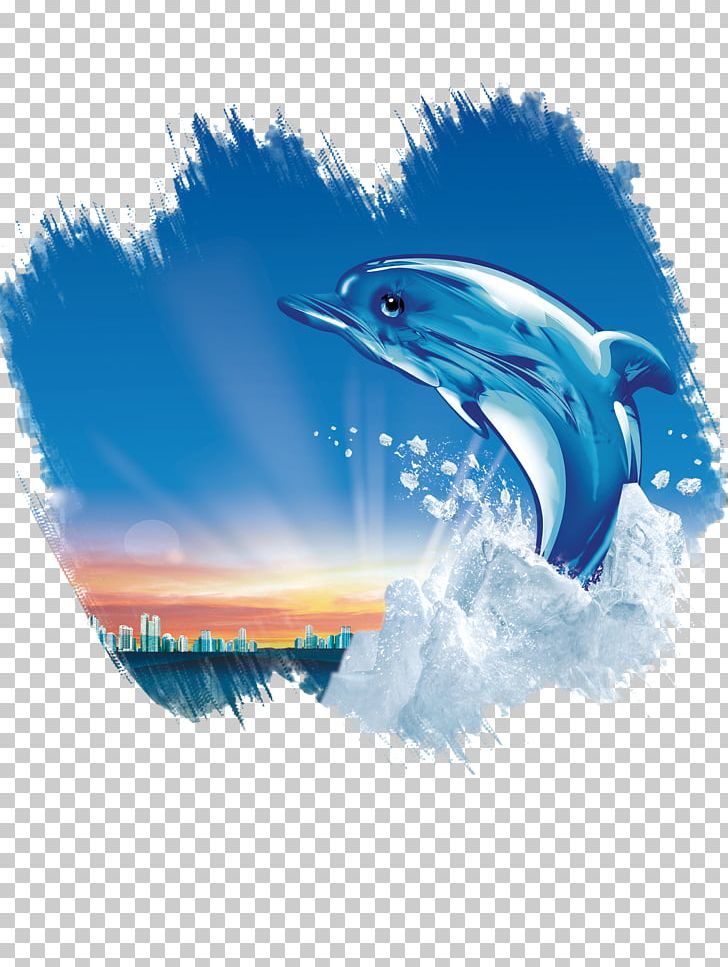 Dolphin Poster U6c55u5934u5e02u4e09u8054u978bu4e1au6709u9650u516cu53f8 Innovation PNG, Clipart, Animals, Beak, Cartoon Dolphin, China, Computer Wallpaper Free PNG Download