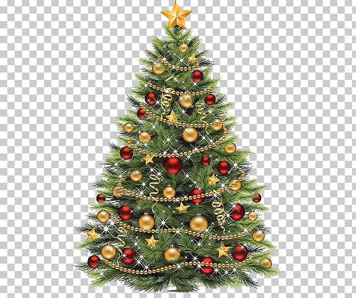 Christmas Tree Christmas Day Christmas Dinner PNG, Clipart, 25 December, Christmas, Christmas, Christmas And Holiday Season, Christmas Card Free PNG Download