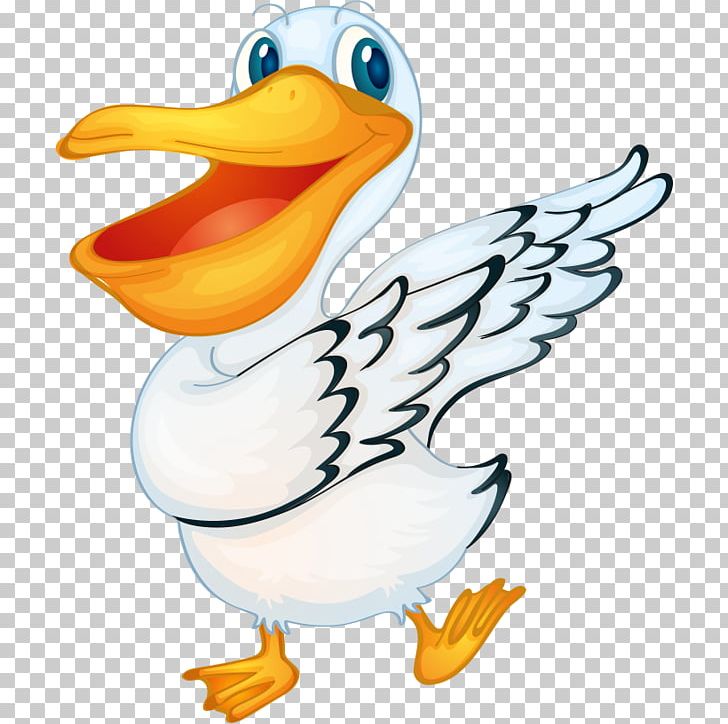 Pelican Bird PNG, Clipart, Animals, Cartoon, Cartoon Animals, Cartoon Eyes, Hand Free PNG Download