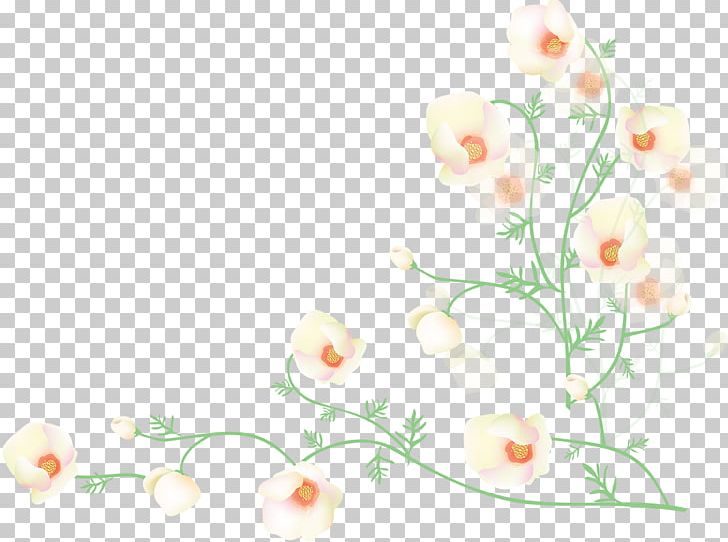 Flower Poppy Desktop PNG, Clipart, Angle, Blossom, Branch, Computer Wallpaper, Corner Free PNG Download