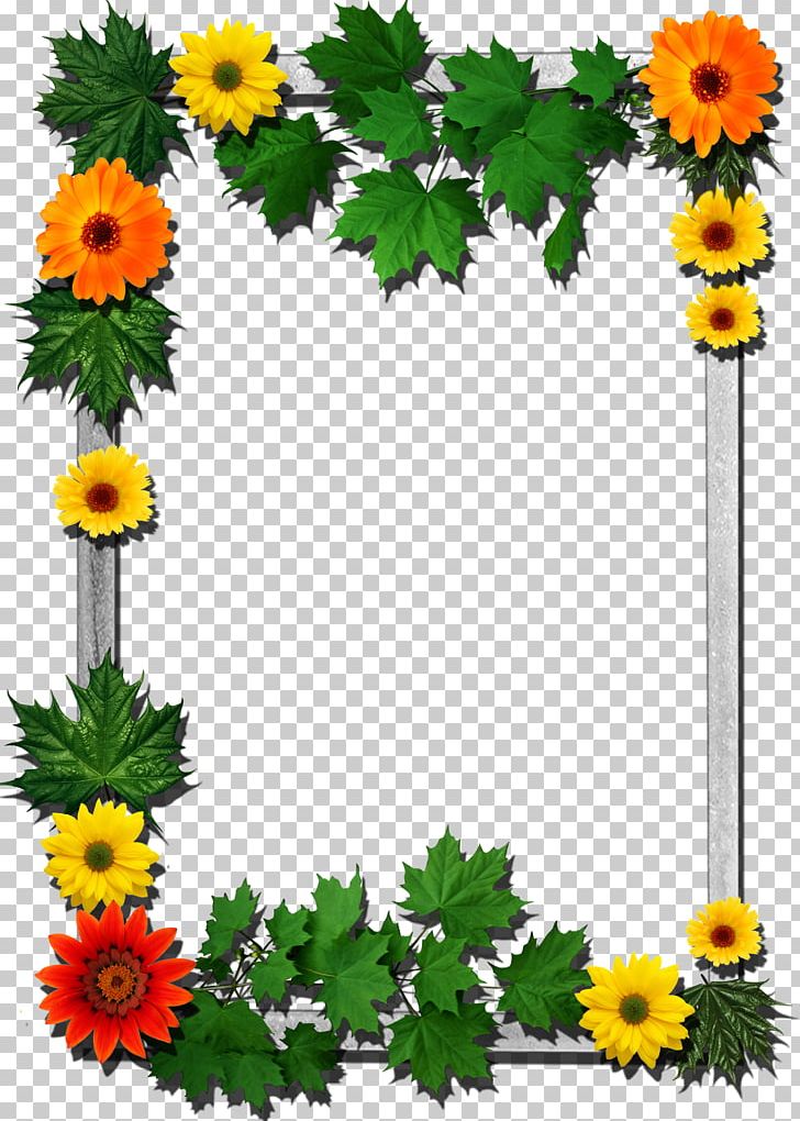 Frames Flower PNG, Clipart, Annual Plant, Cerceveler, Chrysanths, Clip Art, Cut Flowers Free PNG Download