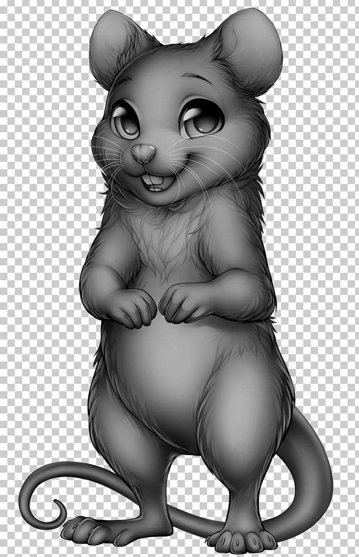 Mouse Rat Rodent Whiskers Cat PNG, Clipart, Animals, Base, Bear, Black And White, Canidae Free PNG Download
