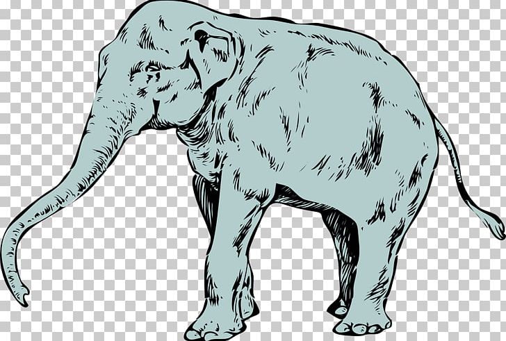 Asian Elephant Tusk Pixabay PNG, Clipart, Animal, Animals, Baby Elephant, Blue, Carnivoran Free PNG Download