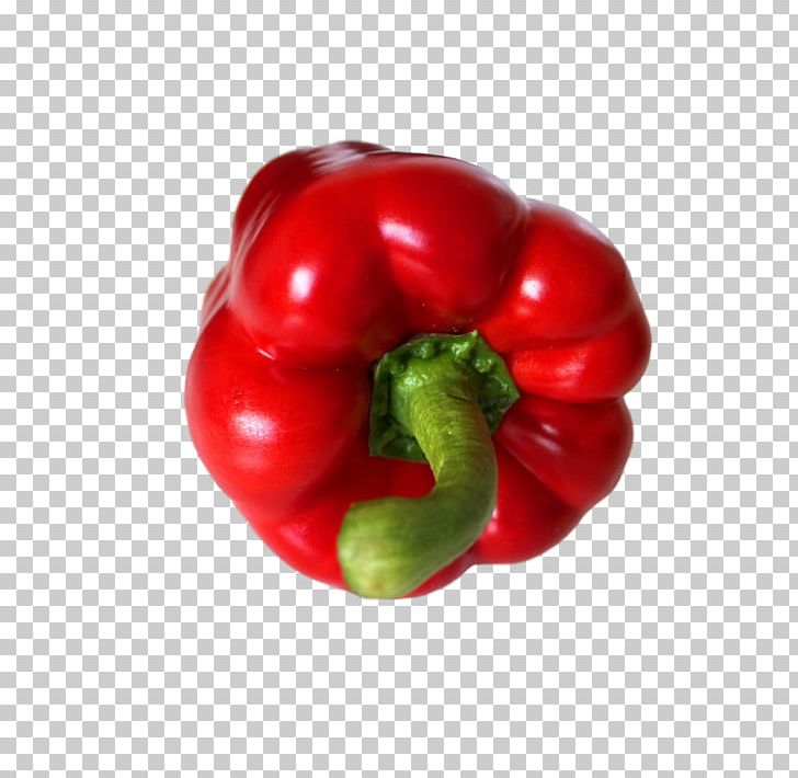 Bell Pepper Chili Pepper Malagueta Pepper Vegetable Spice PNG, Clipart, Bell Pepper, Bell Peppers And Chili Peppers, Capsicum, Cayenne Pepper, Chili Pepper Free PNG Download
