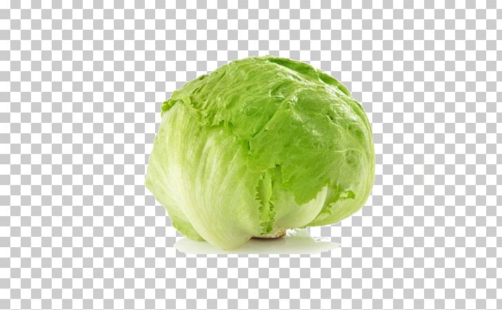 Iceberg Lettuce Greek Salad Romaine Lettuce Vegetable PNG, Clipart, Asteraceae, Brussels Sprout, Cabbage, Calorie, Collard Greens Free PNG Download
