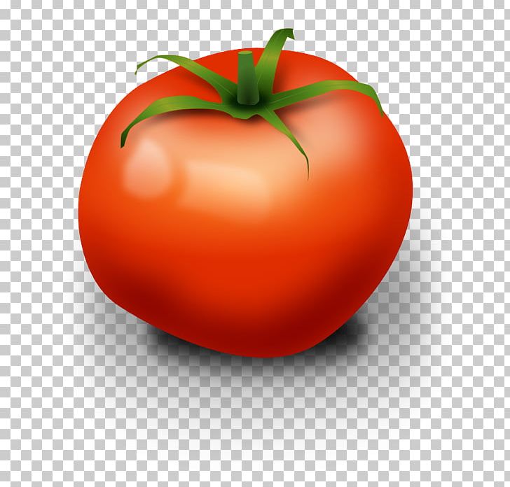 Cherry Tomato Vegetable PNG, Clipart, Apple, Blog, Bush Tomato, Cherry Tomato, Computer Icons Free PNG Download