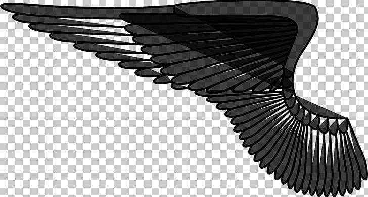 Bird Angel Wing PNG, Clipart, Angel Wing, Angle, Animals, Bird, Black And White Free PNG Download