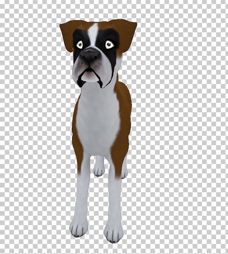 Boston Terrier Boxer Puppy Dog Breed Companion Dog PNG, Clipart, Amaretto, Animals, Boston Terrier, Boxer, Breed Free PNG Download
