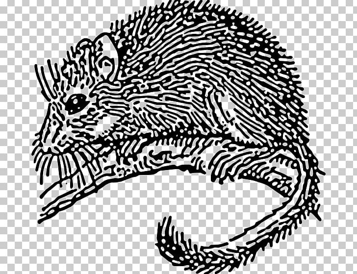 Dormouse Rodent PNG, Clipart, Animals, Area, Big Cats, Black And White, Carnivoran Free PNG Download