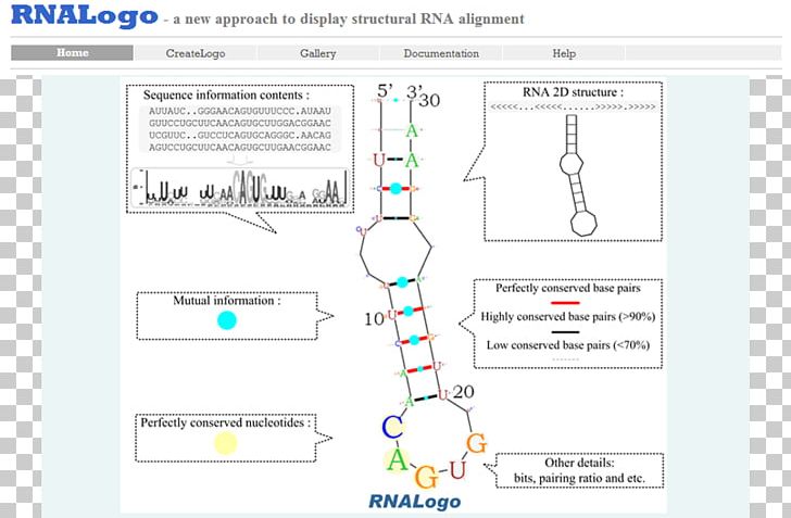 Protein Secondary Structure Sequence Alignment RNA Nucleic Acid Secondary Structure PNG, Clipart, Angle, Area, Bioinformatics, Biology, Brand Free PNG Download