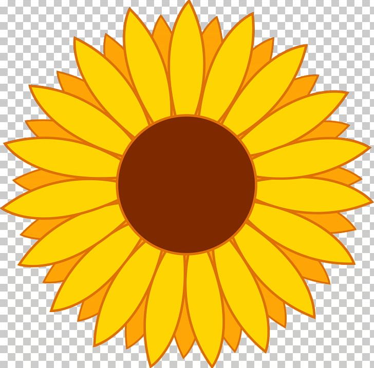 Common Sunflower Free Content PNG, Clipart, Art, Blog, Circle, Common Sunflower, Cut Flowers Free PNG Download