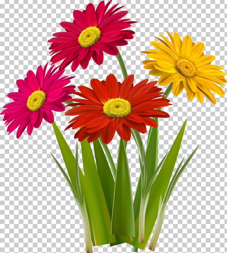 Flowerpot Vase PNG, Clipart, Annual Plant, Camera, Camomile, Computer Icons, Cut Flowers Free PNG Download