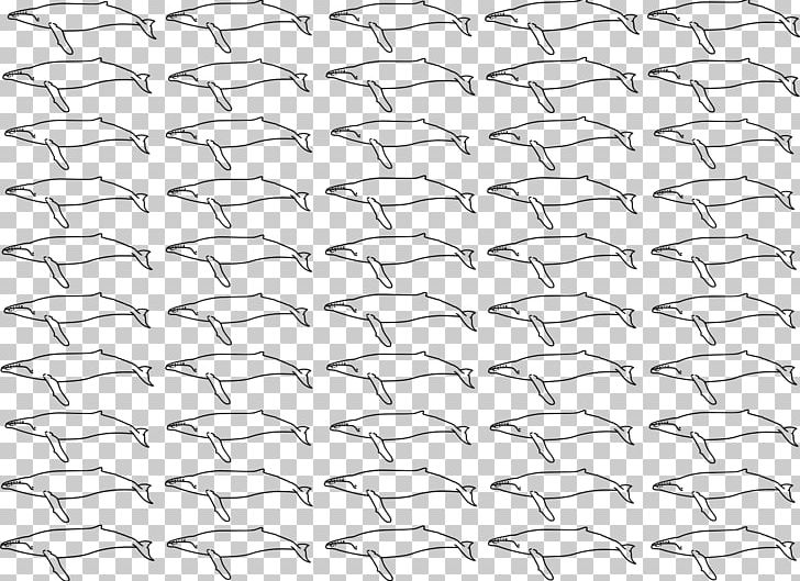 Line Point Angle White Material PNG, Clipart, Angle, Area, Black, Black And White, Black M Free PNG Download
